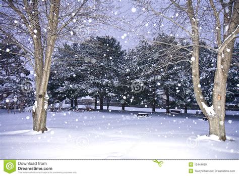 Winter Wonderland Scene Royalty Free Stock Images Image