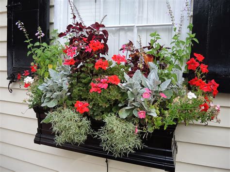 Shapes and forms of flowers for window boxes. JLL DESIGN: Taking a Stroll: Window Boxes
