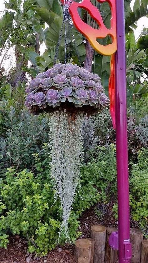 36 Beautiful Succulent Garden Plants Hanging Garden Vertical