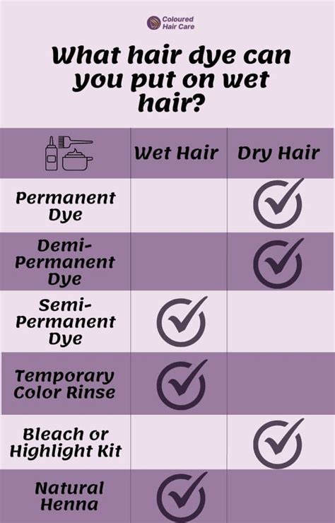 Can You Dye Wet Hair Expert Advice For Every Hair Type