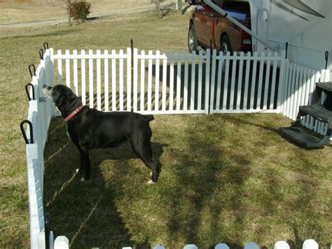 Portable Fencing For Dogs And 5 Main Topics You Must Know