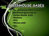 Termites Greenhouse Gases