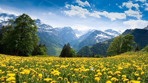 Mountains Landscape Nature Mountain Spring Meadow Flowers