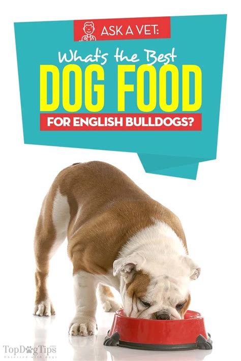Best Dog Food For English Bulldogs 6 Vet Recommended Brands