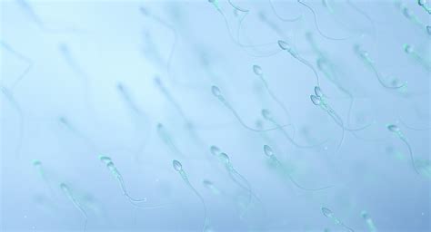 New Generation Of Non Hormonal Male Contraceptive Pills Emerging