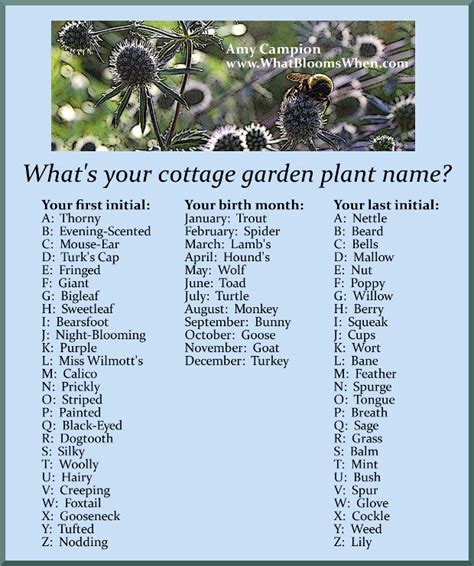 Whats Your Cottage Garden Plant Name Amy Campion What Blooms When