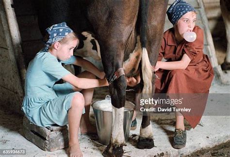amish girl photos and premium high res pictures getty images