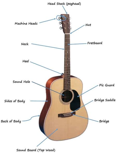 The Parts Of The Acoustic Guitar Diagram