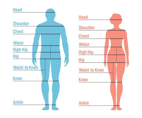 Free Body Measurement Chart Printable For Men Women