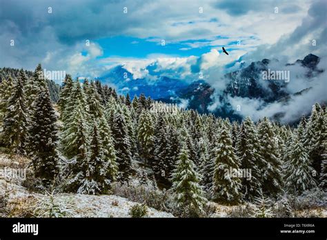 Fluffy Clouds Flying Over Mountains Stock Photo Alamy