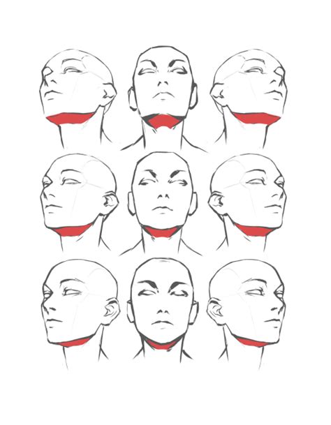 Drawing Of A Head From Many Angles All From Slightly Below
