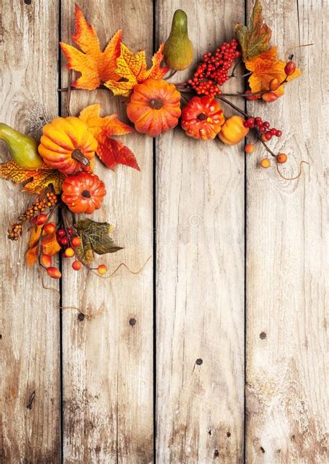 Festive Autumn Decor From Pumpkins Berries And Leaves On A Rustic