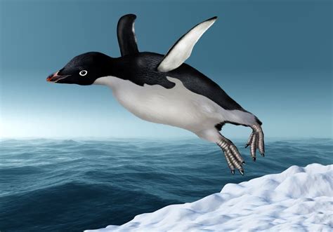 Can Penguins Fly American Oceans