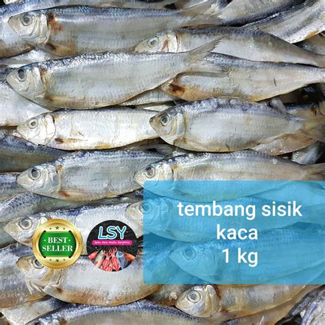 Ikan Asin Tembang Sisik Kaca 1kg Lazada Indonesia