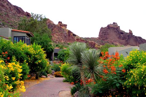 Sanctuarys Beautiful Desert Landscaping Provides You With