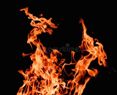 Raging Flames Red Fire Black Background Stock Photo Image Of Fire