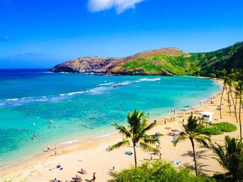 Hanauma Bay The Best Place For Snorkeling In Oahuhawaii