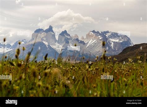 Torres Del Paine National Park Patagonia Chile Primavera En Parque