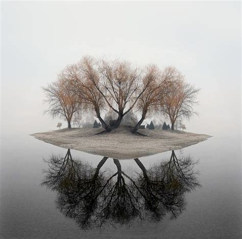104 Best Trees Reflected In Water Images On Pinterest