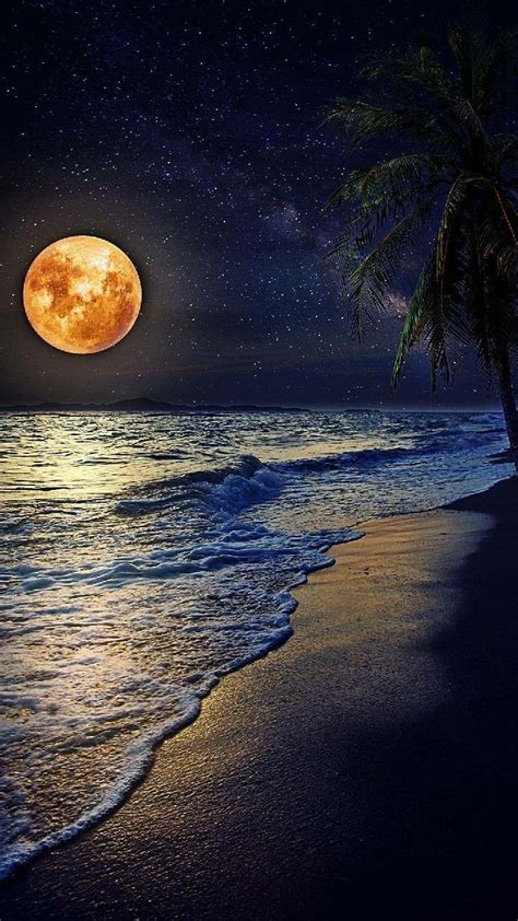 Full Moon At The Beach Nature Photography Beautiful Moon Moon Beach