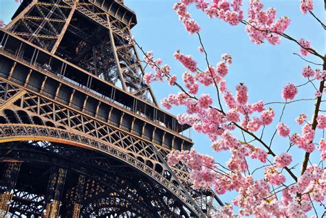 8 Places In Europe To See The Best Cherry Blossoms • Globonaut