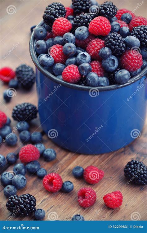 Mixed Berry Fruits Stock Image Image Of Color Organic 32299831