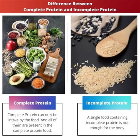 Complete Protein Vs Incomplete Protein Difference And Comparison