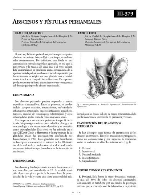 Absceso Perianal 2009 Gastroenterología Medicina