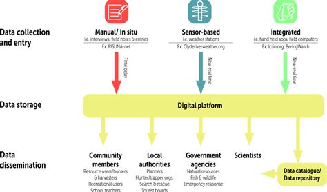Illustration Of Digital Platforms In Cbm Programs The Flow Of Data And