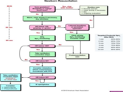 Neonatal Resuscitation Part 2 By Drsaleem