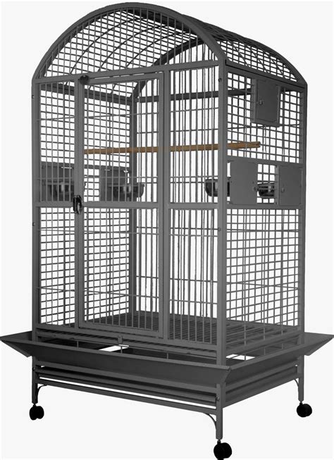 Dome Top Bird Cage For Large Birds In 2021 Bird Cage Bird Cages