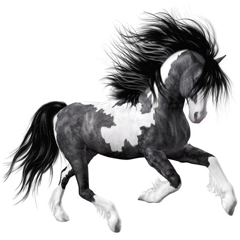 Horses Clipart Fire Horses Fire Transparent Free For Download On