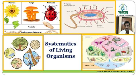 Systematics Of Living Organisms Part 5 Always4amol Youtube