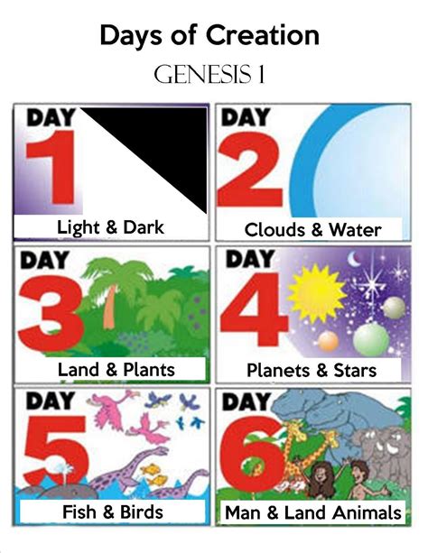 7 Days Of Creation Creation Bible Creation Crafts Genesis Creation