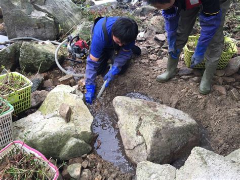 ハーメルンは小説投稿サイトです。 全ての機能を無料で利用可能です。 【不特定】とびっきりの美少年or美少女(0) 投稿：もちやま 原作：何でも タイトル通りです! 竹生島ナガエツルノゲイトウ除去活動 | NPO法人国際 ...