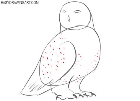 How To Draw A Snowy Owl Easy Drawing Art