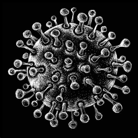 Coronaviruses are a group of related rna viruses that cause diseases in mammals and birds. Das covid-19-coronavirus mit biologischem ...