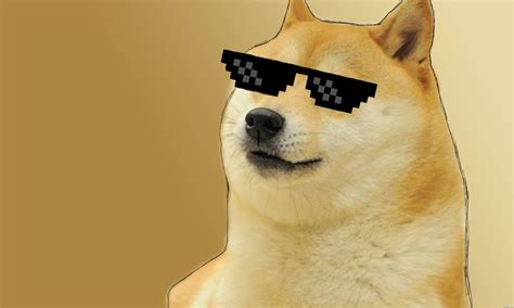 76 Doge Meme Anjing Shiba Inu