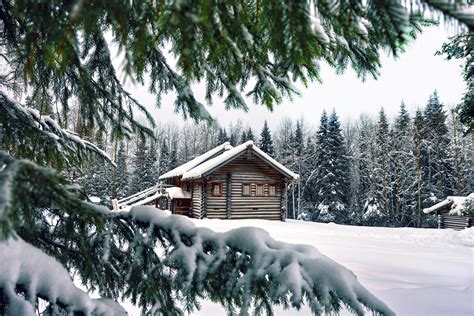 Log Hut Among Snow Covered Spruce Forest Android Wallpapers