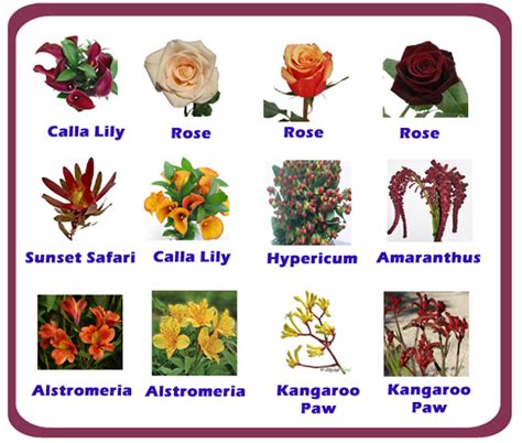 Names Of Decorative Flowers Flowers Diy Arrangement Florists 63 Ideas