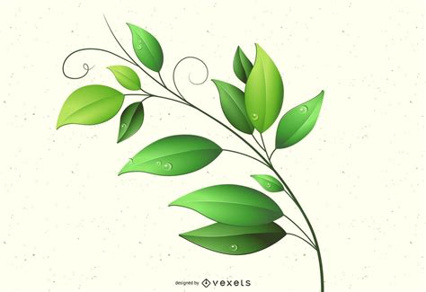 Green Leaves Vector And Graphics To Download