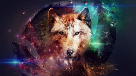 Check spelling or type a new query. Wolf Wallpapers (80+ pictures)