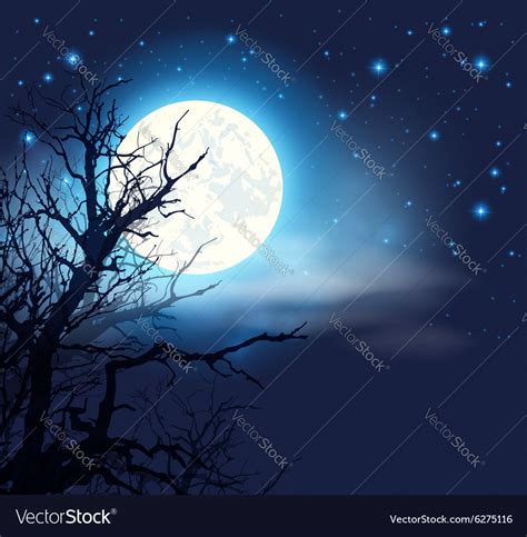 Night Sky With Moon And Trees