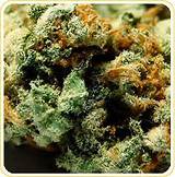 Pictures of Medical Marijuana Strains And Uses