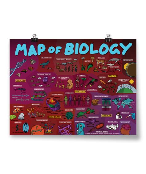 Map Of Biology Poster Dftba