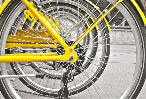 A rovaton belüli keresési feltételek: Elektromos kerékpár típusok a piacon - Waptv
