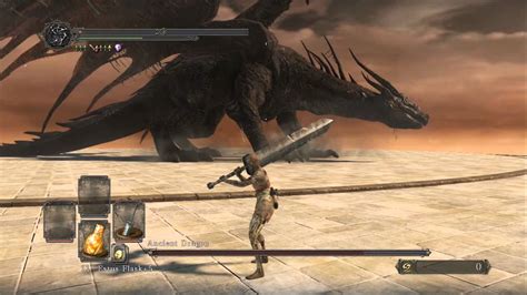 Dark Souls 2 How To Beat Ancient Dragon - Dark Souls 2 BOSS: Ancient Dragon (ng+) - YouTube