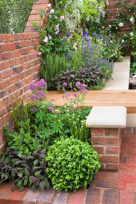 Sitting Next To Fragrant Herbs And Flowers Garden Bench Sage Salvia