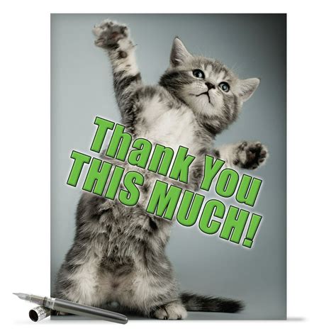 Cute Jumbo Thank You Card 85 X 11 Adorable Kitten Thank You This