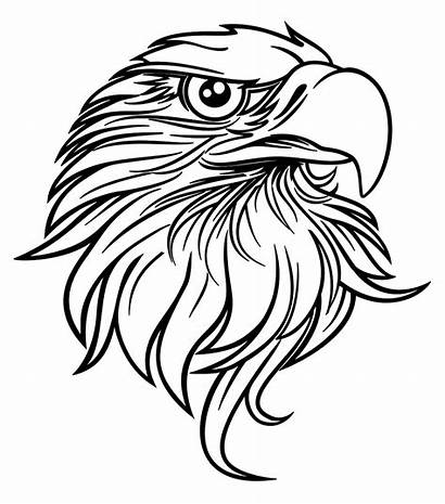 Eagle Coloring American Bald July Printables 4th